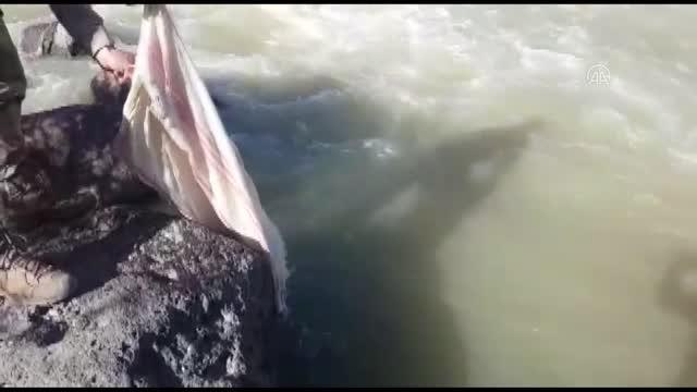 Kaçak avlanılan 530 kilo inci kefali ele geçirildi