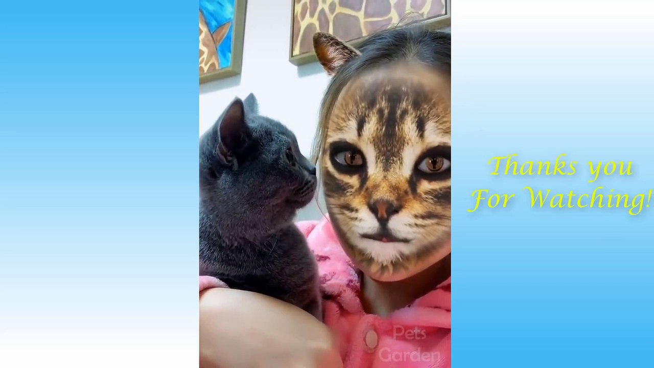 Cute Pets And Funny Animals Compilation #8