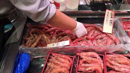 Koi fish sushi【コイ寿司】