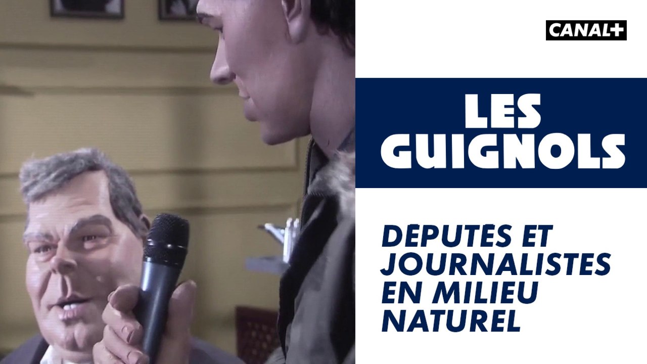 Députés et journalistes en milieu naturel - Les Guignols - CANAL+