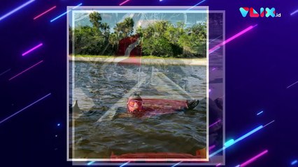 Arkeolog Amatir Temukan Fosil Mammoth Berusia Jutaan Tahun