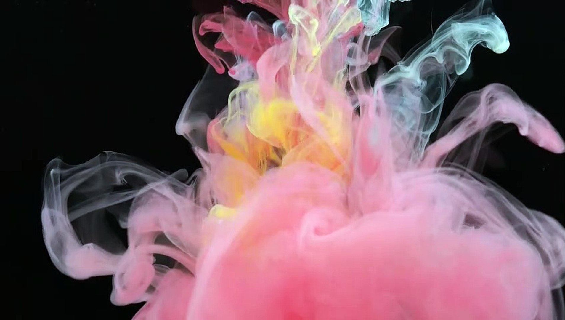 Craneholyf - Panty Dropper