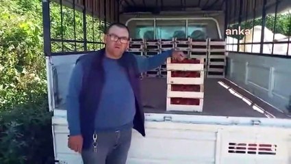 Zarar edince AKP'yi bıraktı