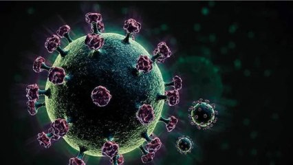 Corona triple mutant variant: How bad is it?