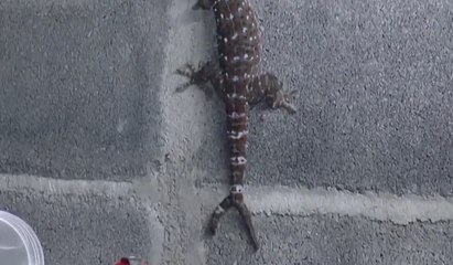 เรื่องพลบค่ำ ช่วงที่ 1 วันพุธที่ 12 พ.ค.64