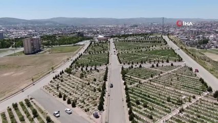 Скачать видео: Arife gününde mezarlıklar boş kaldı