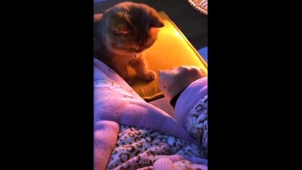Cute Pets And Funny Animals Compilation #30 - Pets Garden
