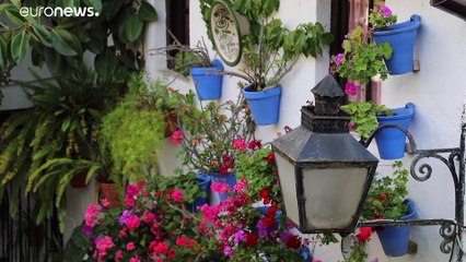 100 años de la Fiesta de los Patios de Córdoba