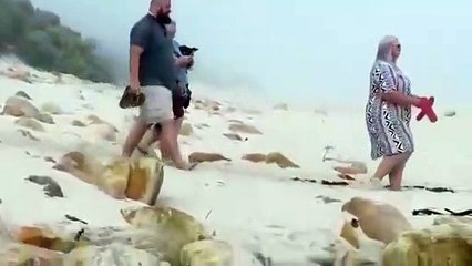 Comment pourrir une demande en mariage