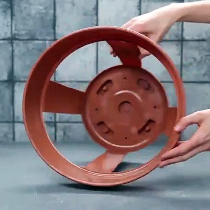 Evde patates nasıl yetiştirilir?