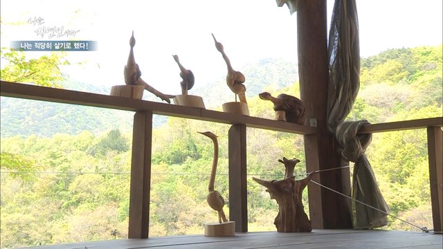 자연인, 생명을 불어넣는 마법사?! 죽은 고목에 새 생명을 불어넣다!