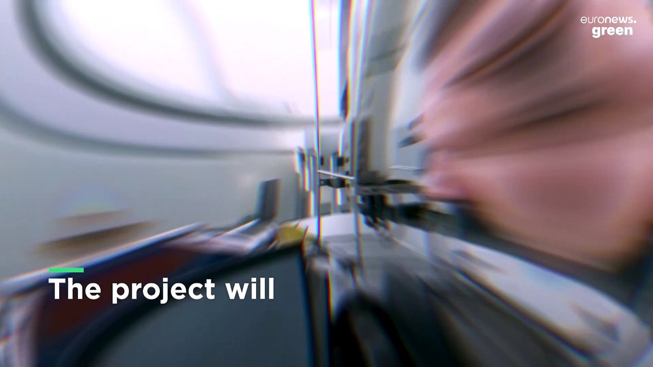 Underwater eavesdropping: Will listening to fish help save marine habitats?