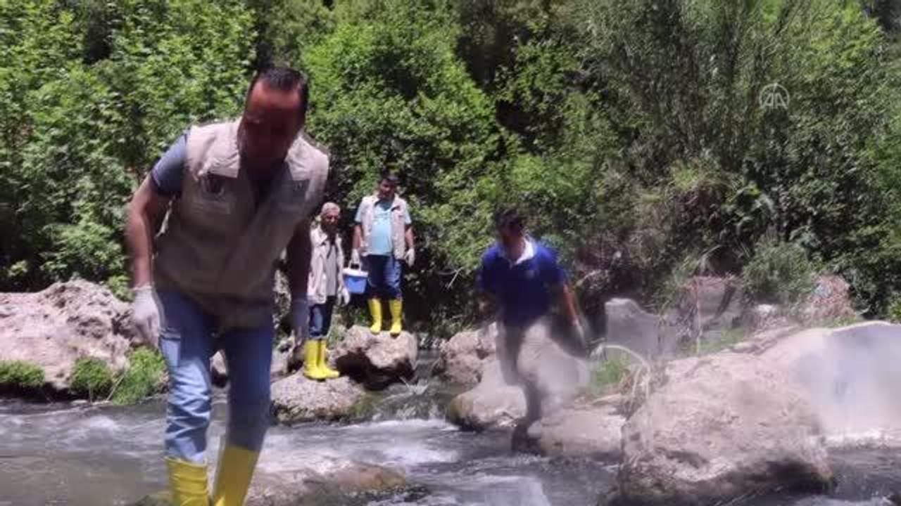 Toplu balık ölümleri nedeniyle inceleme başlatıldı