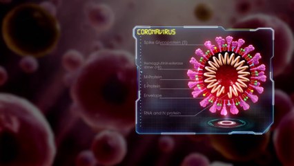 Coronavirus Structure || Covid'19