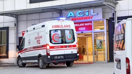 Gercüş'te 2 kişiyi yılan soktu