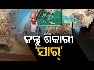 Teacher In Morning, Poacher In Night-OTV Report From Dhenkanal