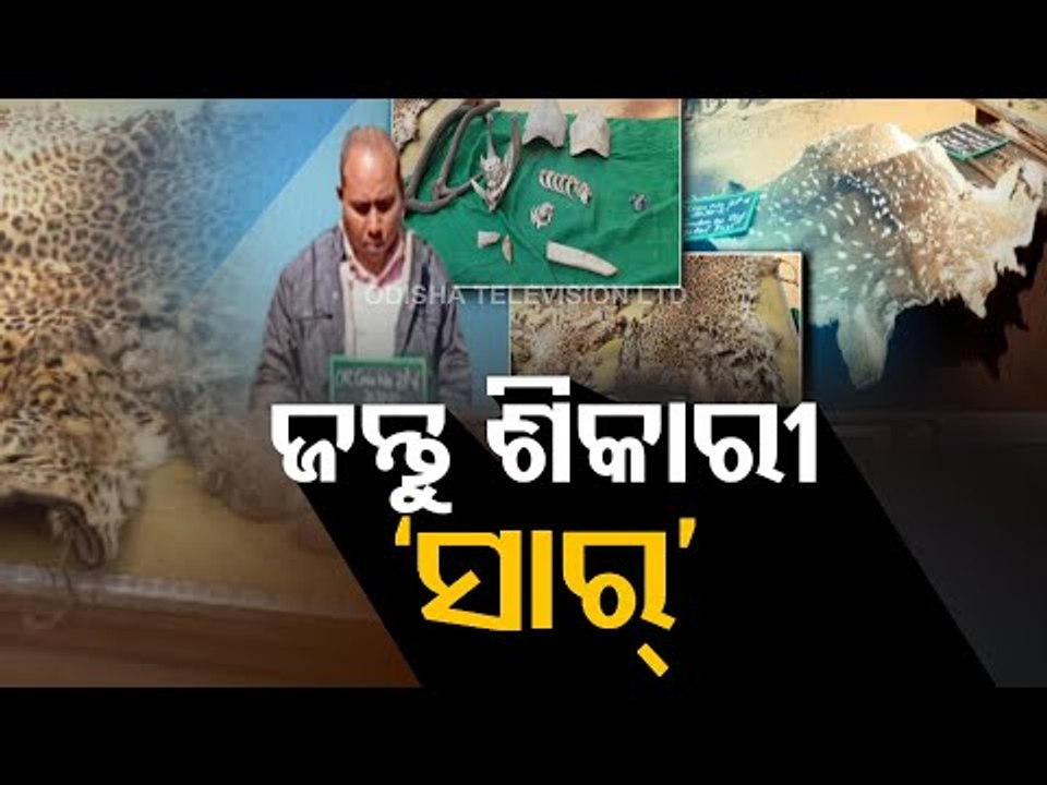 Teacher In Morning, Poacher In Night-OTV Report From Dhenkanal