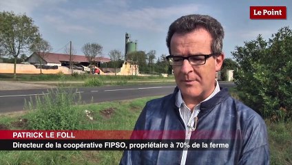 Crise porcine : les gros élevages sont-ils la solution ?