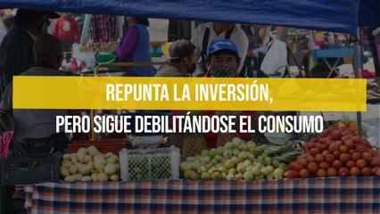 Repunta la inversión, pero sigue debilitándose el consumo