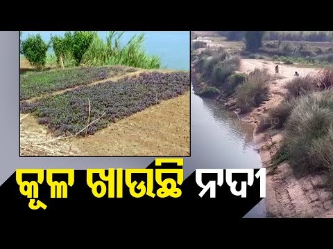 River Bank Erosion In Kendrapara Threatens Livelihood Of Farmers