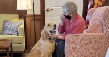 Dans cette maison de retraite américaine, un golden retriever redonne le sourire aux résidents 