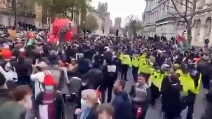 London Protest About Palestine / Israel War
