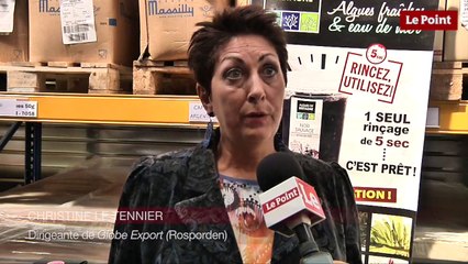 Algues : ces trois usages qui vont vous surprendre !