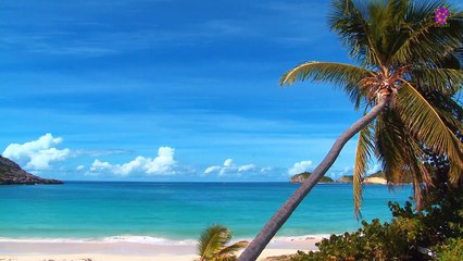 15 Minute Beautiful Relaxing Music | Ocean | Beach | Joyful | Peaceful | Focus | Study | Sleep | Meditation | Positive Energy