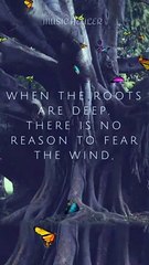 Quote status || MUSIC HEALER 