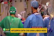 COVID-19: anticuerpos persisten al menos ocho meses tras la infección