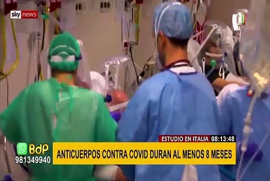 COVID-19: anticuerpos persisten al menos ocho meses tras la infección