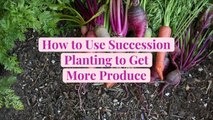 How to Use Succession Planting to Get Even More Produce Out of Your Edible Garden