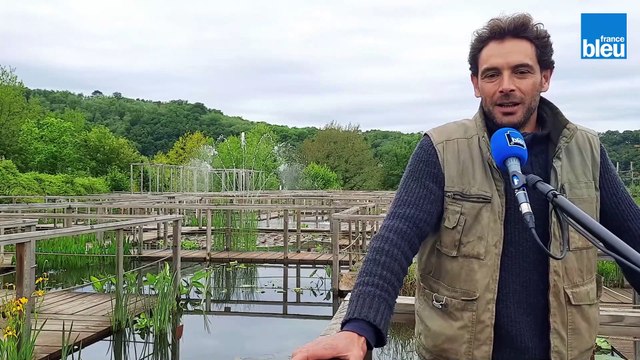 Au fil de l'eau - Steven Bernard, propriétaire des jardins d’eau à Carsac Aillac