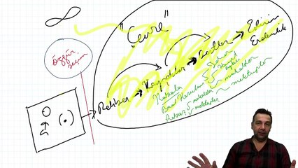 Yaratılışta ilerlemek için çekilen ıstırap nasıl bir şeydir?