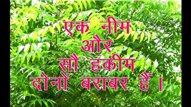 Neem Amazing Benefits | Neem benefits and uses in Hindi | नीम के अद्भुत फायदे | नीमअनमोलओषधि |