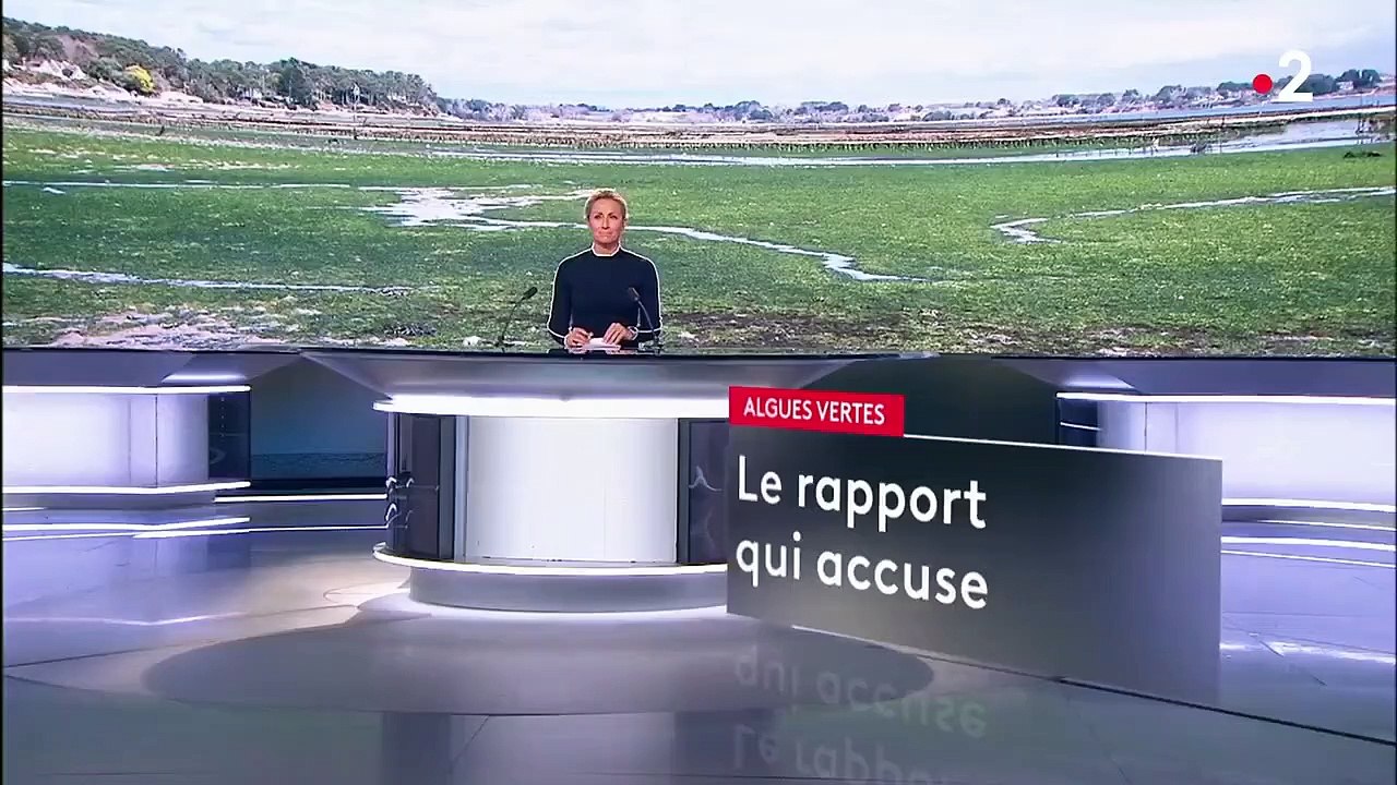 Écologie : le fléau des algues vertes en Bretagne