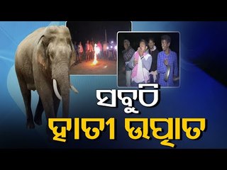 Binika Villagers’ Night Vigil To Protect Crop From Elephant Herd