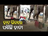 Elephant Enters A Market In Puri