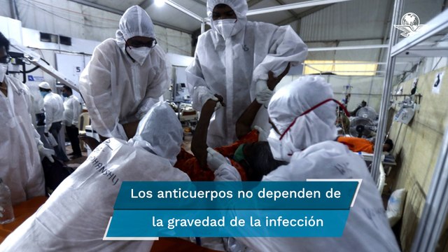 Anticuerpos contra covid-19 duran 8 meses en la mayoría de casos