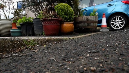 Elderly couple forced to destroy garden