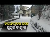 Tourists Enjoy Snowfall in Kashmir and Himachal Pradesh