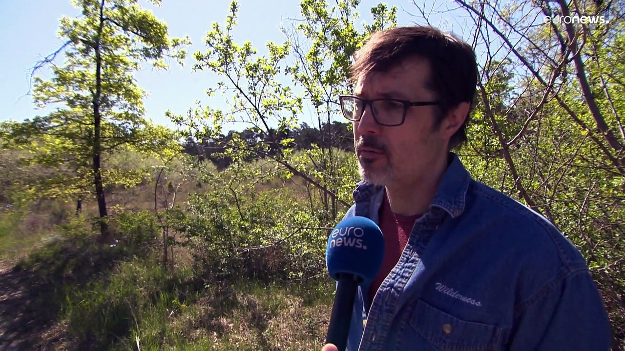 Dubiose Geschäfte am Neusiedler See