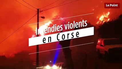 Tempête Eléanor: de violents incendies font 3 blessés en Corse