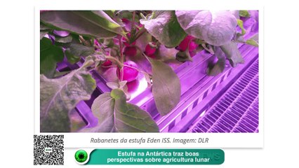 Estufa na Antártica traz boas perspectivas sobre agricultura lunar