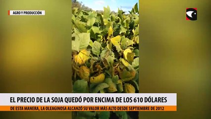 El precio de la soja quedó por encima de los 610 dólares