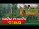 Ganja Cultivation Worth Over Rs 16 Crore Destroyed In Gajapati