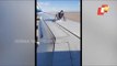 Youth Climbs Atop Airplane's Wing In USA, Arrested