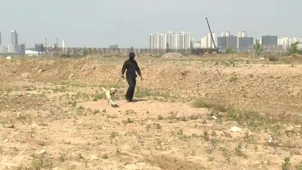 [인터뷰투데이] 인천 노래주점에서 사라진 40대 남성, 시신으로 발견 / YTN