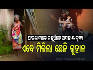 Special Story | Elderly Woman Lives Inside Toilet In Keonjhar
