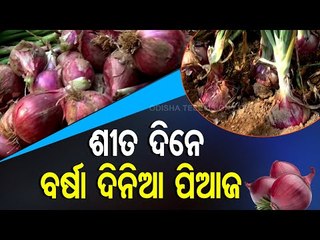 Special Story | Onion Farmers Of Nuapada Make It For A Change